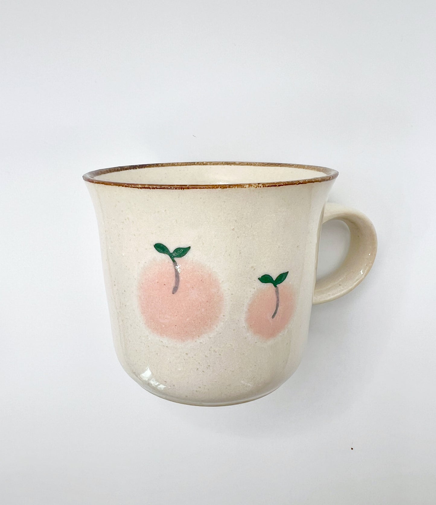 Minoyaki Murir Mug